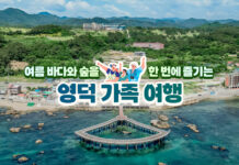 여름 바다와 숲을 한 번에 즐기는 영덕 가족 여행