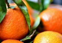 여름의 끝자락, 피부 건강 지키기 위한 간단한 팁 a pile of oranges sitting on top of a table