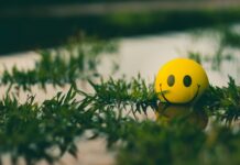 체중 감량, 운동과 식습관 관리로 성과 달성 a yellow ball with a smiley face sitting in the grass