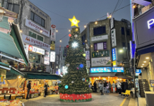 연말·크리스마스 맞아 빛으로 물드는 개포2동 거리