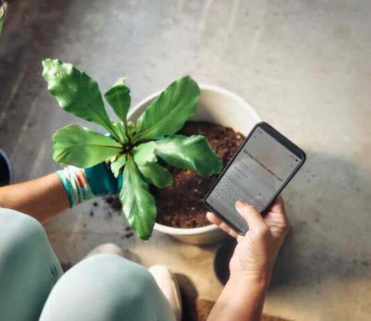 일상 속 스트레스, 똑똑하게 관리하는 생활 습관이 뜬다 Person planting a houseplant and checking phone